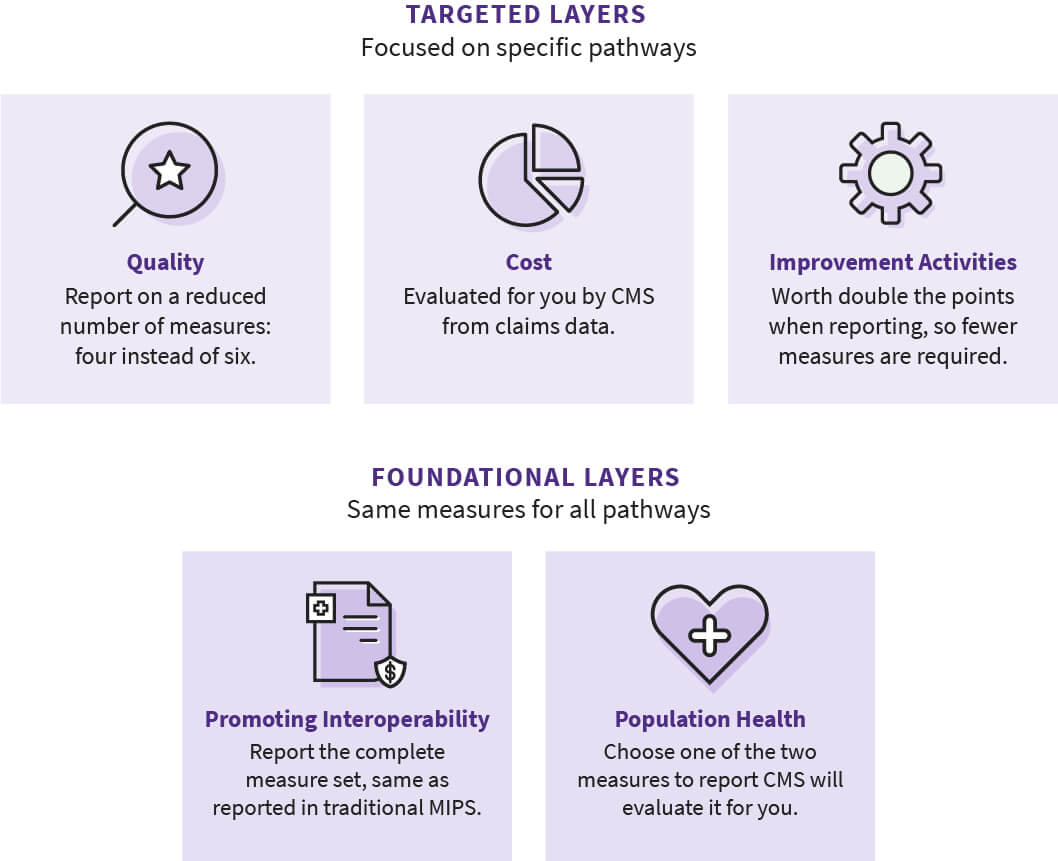 MIPS categories