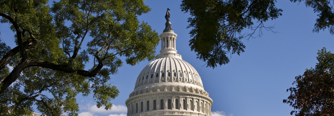 The U.S. Capitol building seen through a clearing of trees