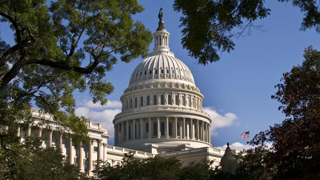The U.S. Capitol building seen through a clearing of trees