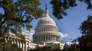 The U.S. Capitol building seen through a clearing of trees
